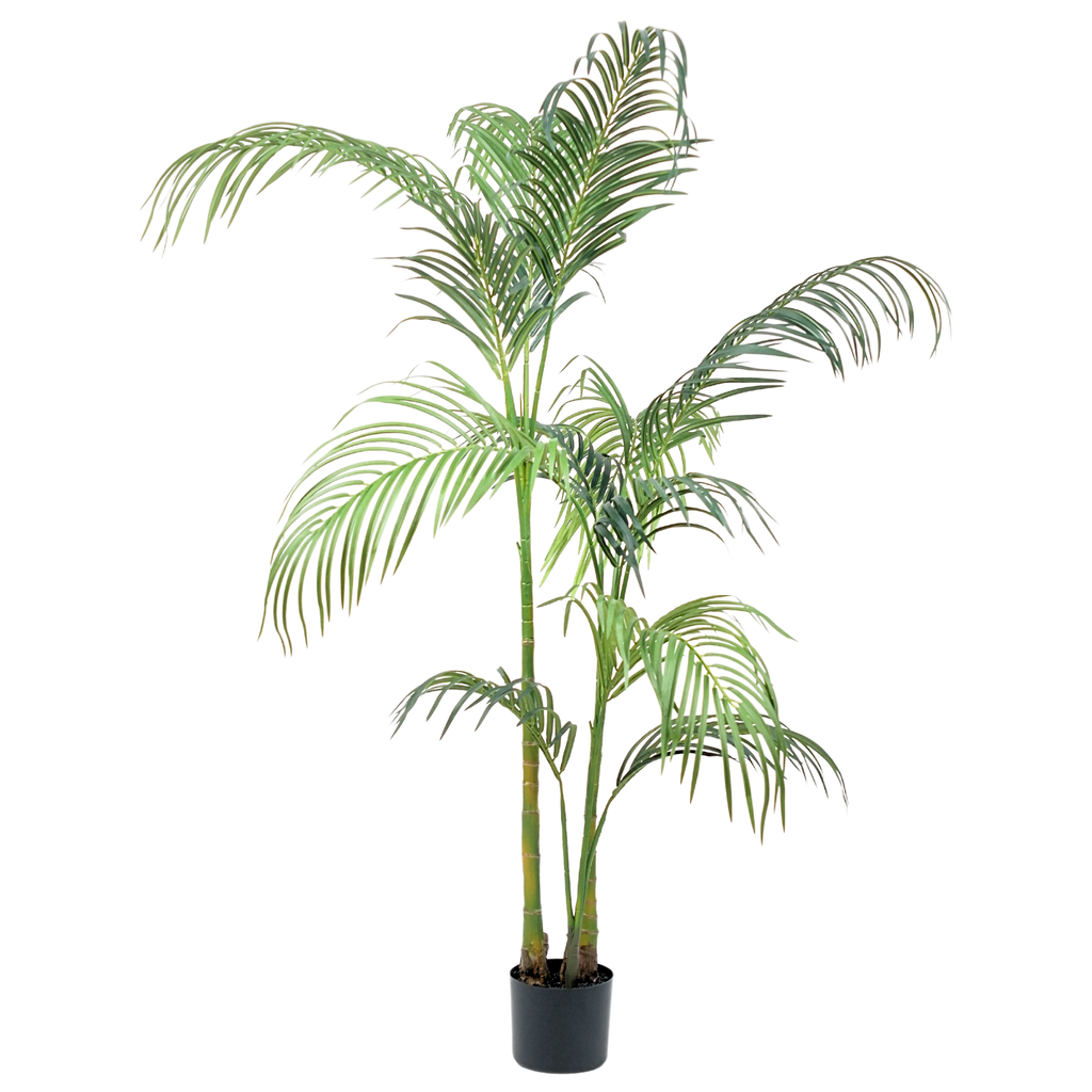 Hawaii Palm__1__180CM