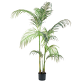 Hawaii Palm__1__180CM