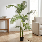 Hawaii Palm__1__180CM