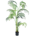Hawaii Palm__1__210CM