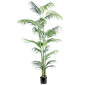 Hawaii Palm__1__250CM