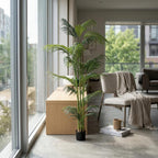 Hawaii Palm__1__250CM