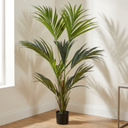 Kentia Palm__1__150CM