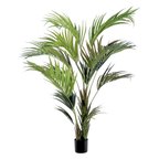 Kentia Palm__1__210CM