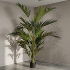 Kentia Palm__1__280CM