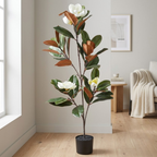 Magnolia Tree__1__120CM