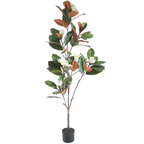 Magnolia Tree__1__150CM