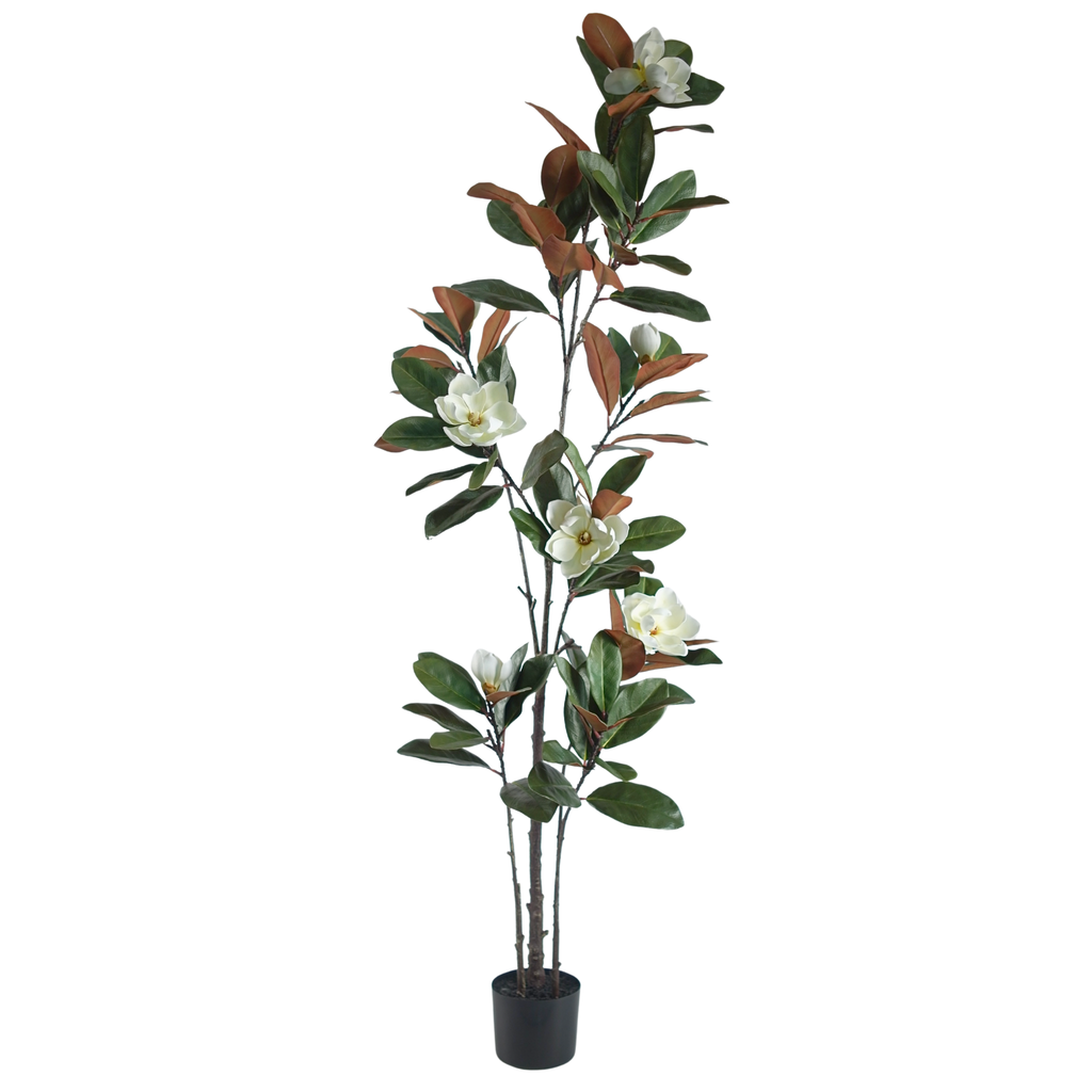 Magnolia Tree__1__180CM