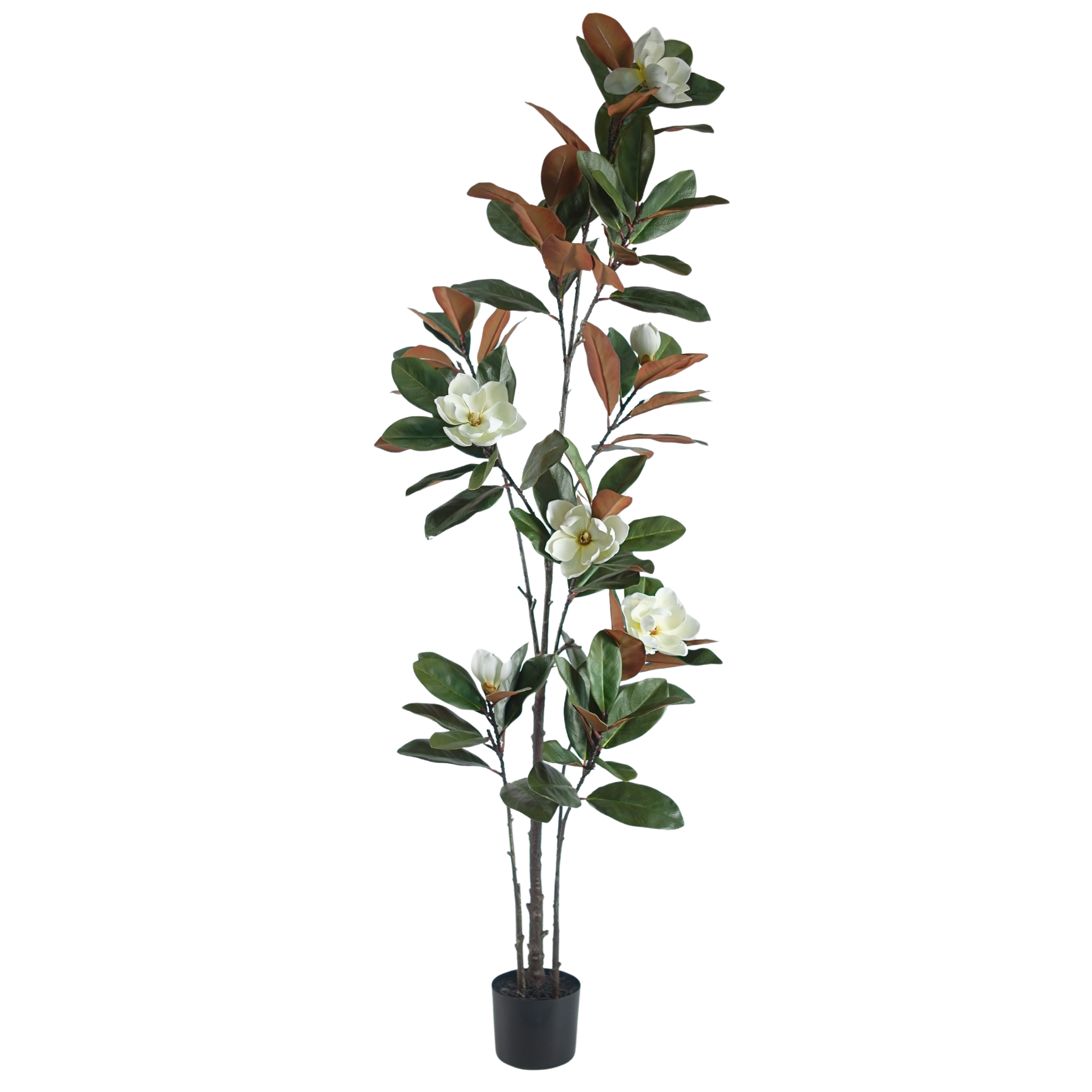 Magnolia Tree__1__180CM
