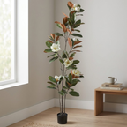 Magnolia Tree__1__180CM