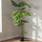 Monstera__1__200CM