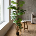 Monstera__1__240CM