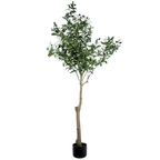 Olive Tree__1__150CM