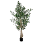 Olive Tree__1__250CM