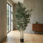 Olive Tree__1__250CM