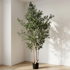 Olive Tree__1__250CM