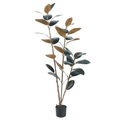 Rubber Tree Black__1__150CM