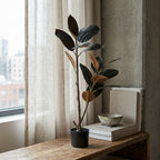 Rubber Tree Black__1__90CM