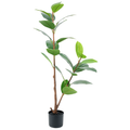 Rubber Tree Green__1__120CM