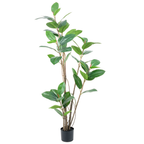 Rubber Tree Green__1__180CM