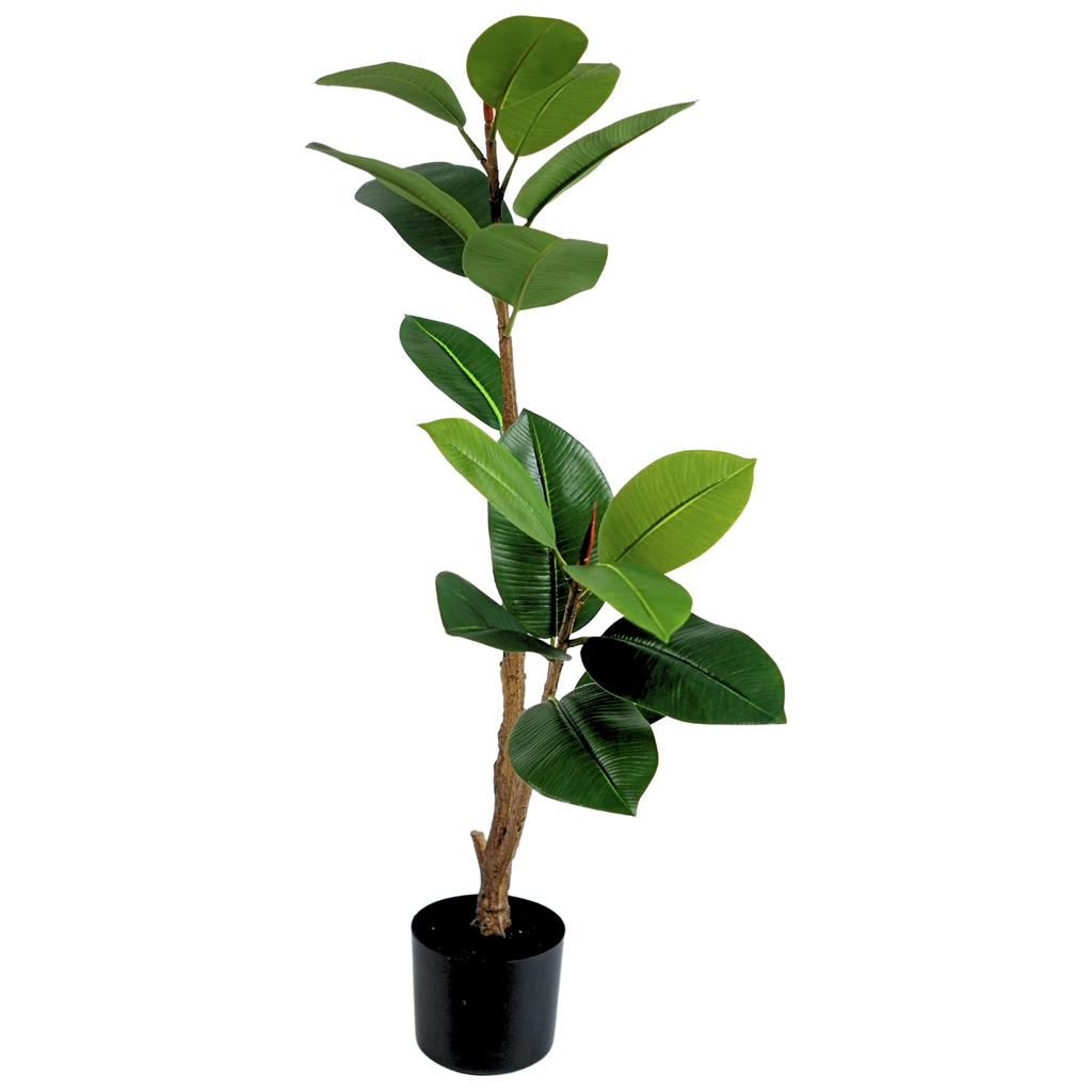 Rubber Tree Green__1__90CM
