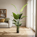 Traveller's Palm__1__220CM