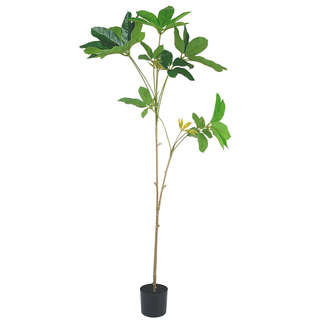 Umbrella Tree__1__120CM