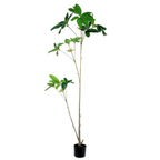 Umbrella Tree__1__160CM