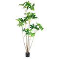 Umbrella Tree__1__180CM
